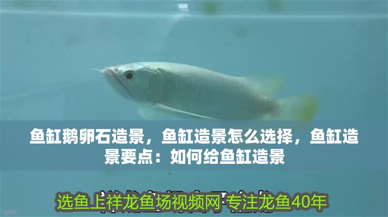 魚缸鵝卵石造景，魚缸造景怎么選擇，魚缸造景要點：如何給魚缸造景