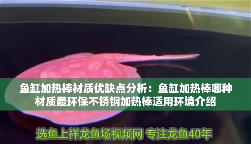 魚缸加熱棒材質優缺點分析：魚缸加熱棒哪種材質最環保不銹鋼加熱棒適用環境介紹