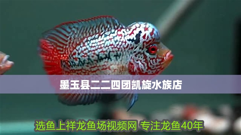 墨玉縣二二四團凱旋水族店