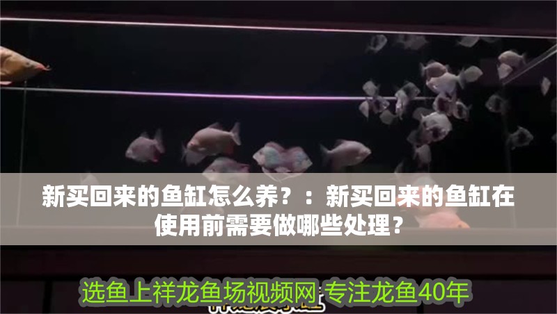 新買回來的魚缸怎么養？：新買回來的魚缸在使用前需要做哪些處理？