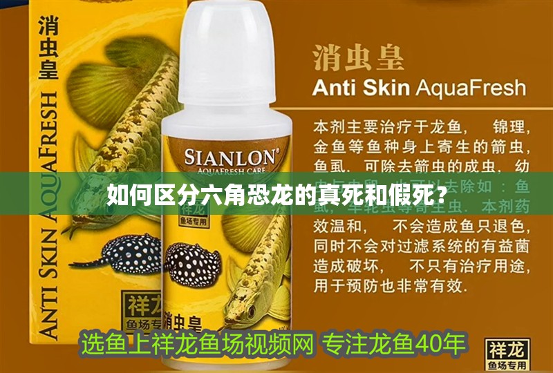如何區(qū)分六角恐龍的真死和假死？ 如何區(qū)分六角恐龍的真死和假死？ 龍魚論壇