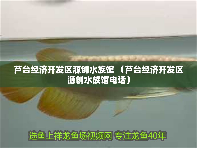 蘆臺經濟開發區源創水族館 （蘆臺經濟開發區源創水族館電話）