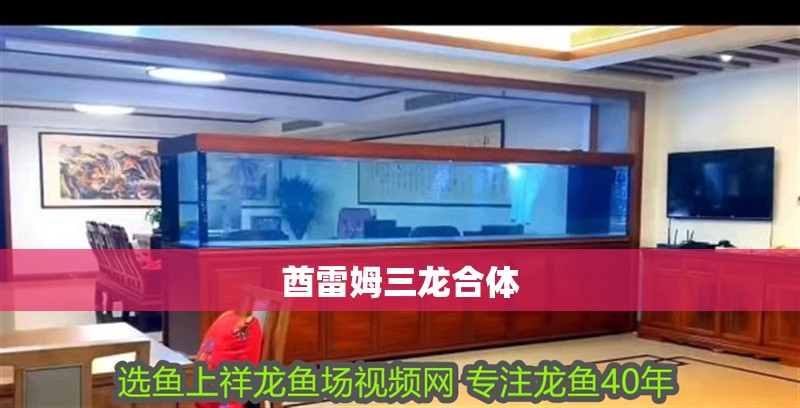 酋雷姆三龍合體