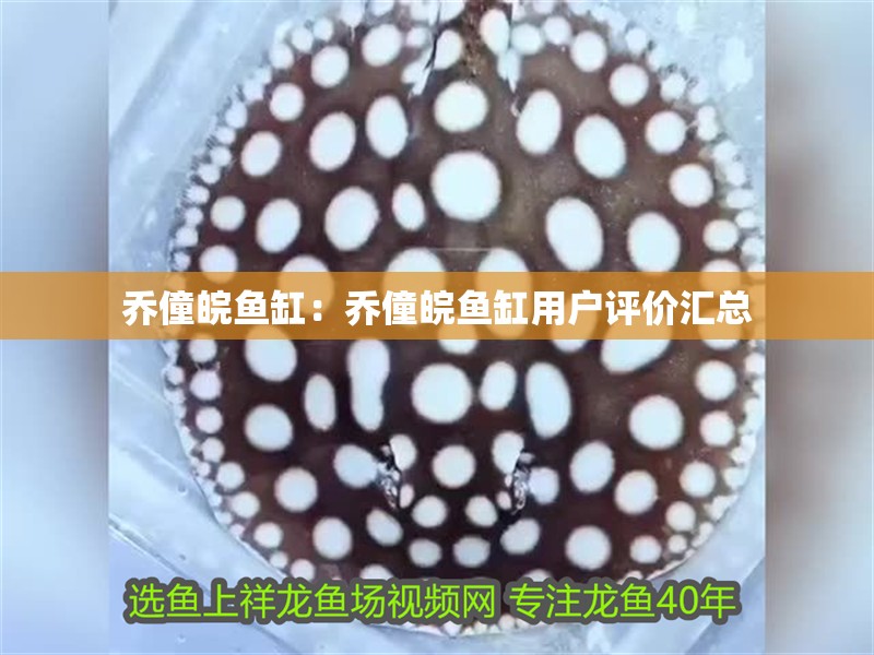 喬僮皖魚缸：喬僮皖魚缸用戶評價(jià)匯總