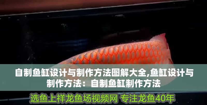 自制魚缸設計與制作方法圖解大全,魚缸設計與制作方法：自制魚缸制作方法