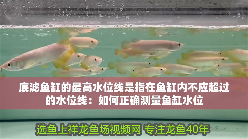 底濾魚缸的最高水位線是指在魚缸內(nèi)不應(yīng)超過的水位線：如何正確測(cè)量魚缸水位