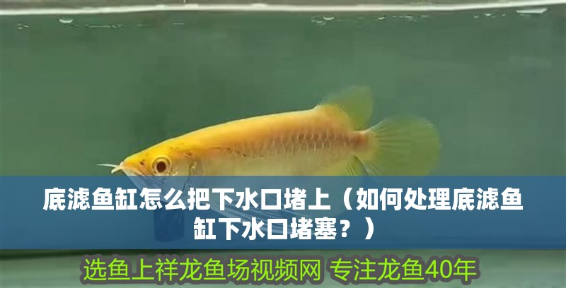 底濾魚缸怎么把下水口堵上（如何處理底濾魚缸下水口堵塞？）