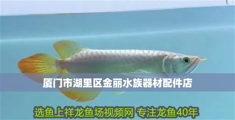 廈門市湖里區金麗水族器材配件店 廈門市湖里區金麗水族器材配件店 全國水族館企業名錄