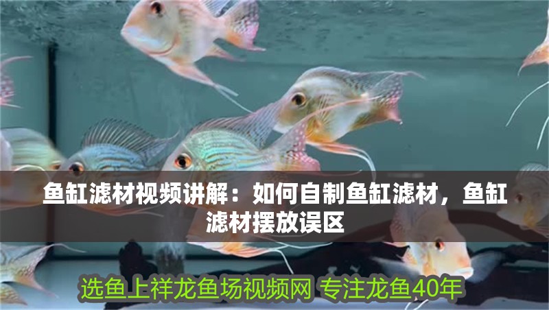 魚缸濾材視頻講解：如何自制魚缸濾材，魚缸濾材擺放誤區(qū) 魚缸濾材視頻講解：如何自制魚缸濾材，魚缸濾材擺放誤區(qū) 魚缸百科