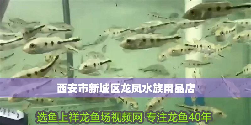 西安市新城區(qū)龍鳳水族用品店