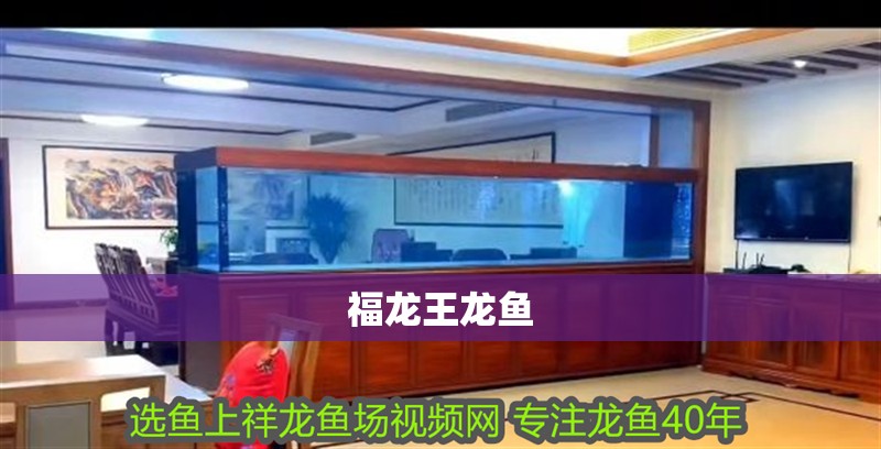 福龍王龍魚