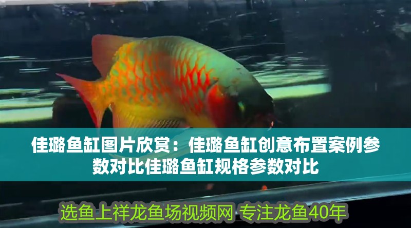 佳璐魚缸圖片欣賞：佳璐魚缸創意布置案例參數對比佳璐魚缸規格參數對比