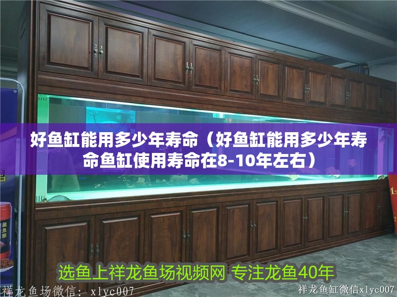 好魚缸能用多少年壽命（好魚缸能用多少年壽命魚缸使用壽命在8-10年左右）