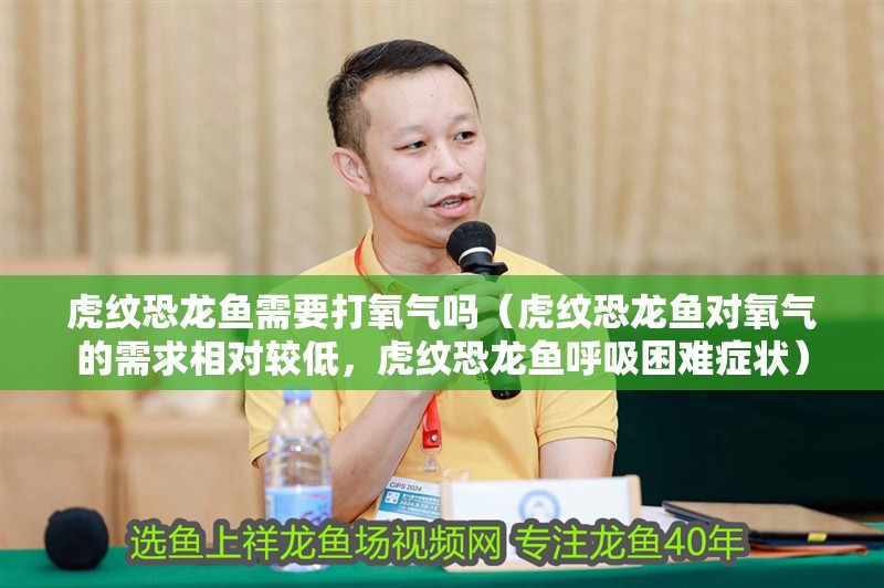 虎紋恐龍魚需要打氧氣嗎（虎紋恐龍魚對氧氣的需求相對較低，虎紋恐龍魚呼吸困難癥狀）