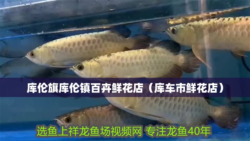 庫倫旗庫倫鎮百卉鮮花店（庫車市鮮花店）