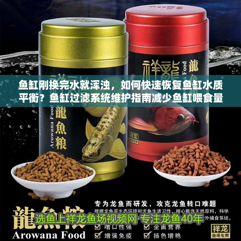 魚缸剛換完水就渾濁，如何快速恢復魚缸水質平衡？魚缸過濾系統維護指南減少魚缸喂食量的最佳實踐