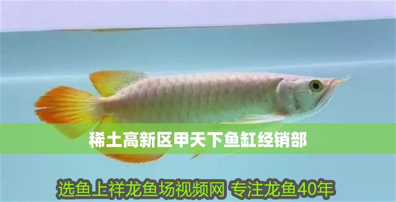稀土高新區甲天下魚缸經銷部