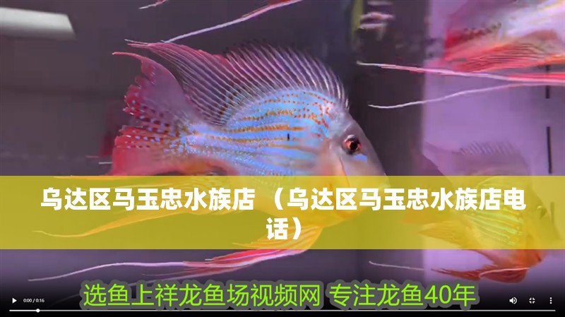 烏達區馬玉忠水族店 （烏達區馬玉忠水族店電話）
