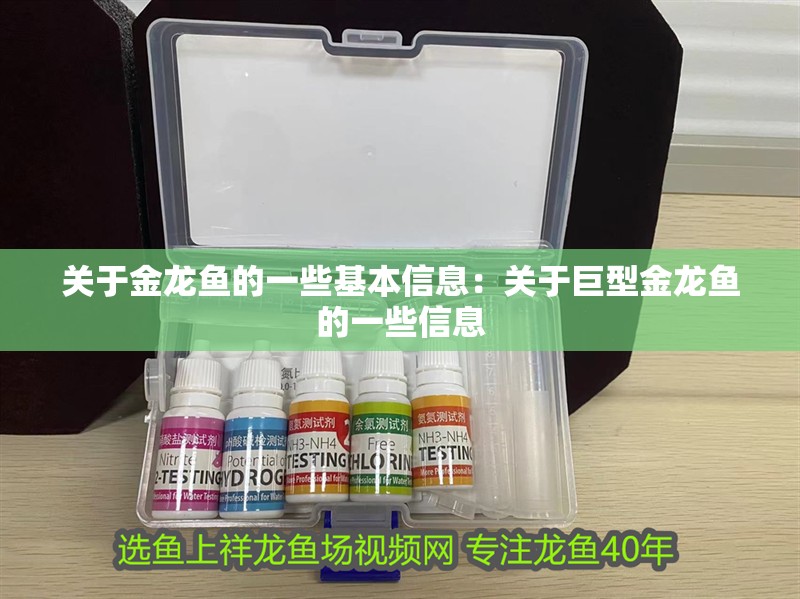 關(guān)于金龍魚(yú)的一些基本信息：關(guān)于巨型金龍魚(yú)的一些信息