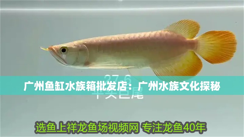 廣州魚缸水族箱批發店：廣州水族文化探秘