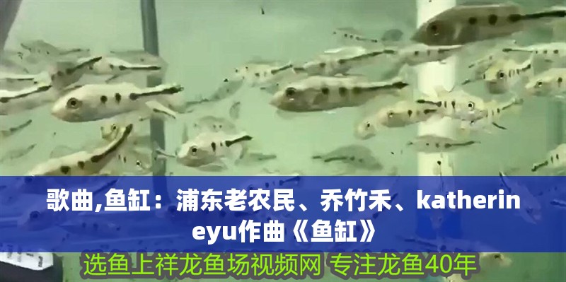 歌曲,魚缸：浦東老農民、喬竹禾、katherineyu作曲《魚缸》