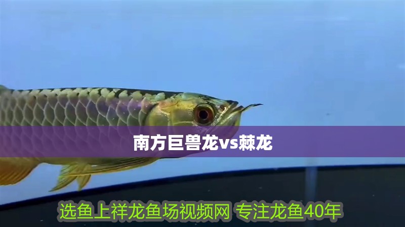 南方巨獸龍vs棘龍