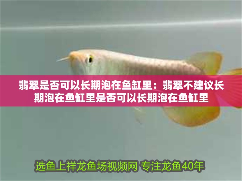 翡翠是否可以長期泡在魚缸里：翡翠不建議長期泡在魚缸里是否可以長期泡在魚缸里