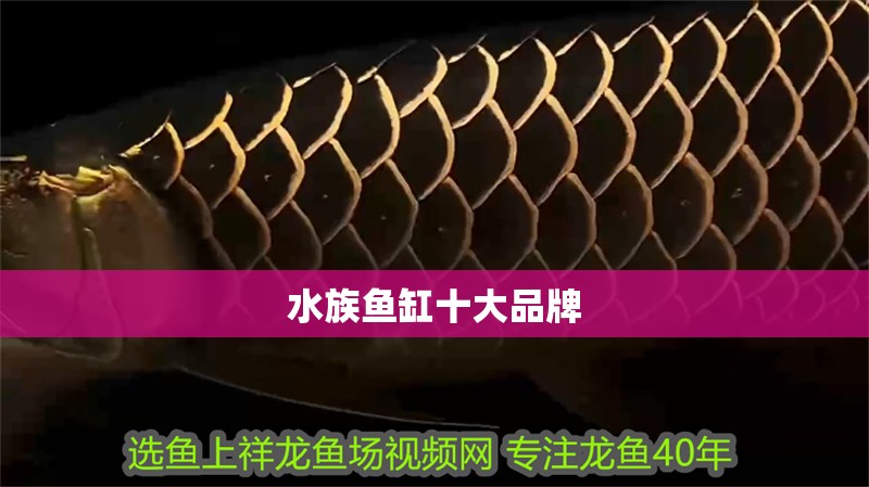 水族魚缸十大品牌