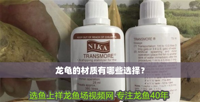 龍龜?shù)牟馁|有哪些選擇？