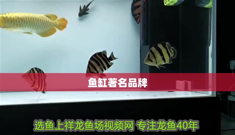 魚缸著名品牌