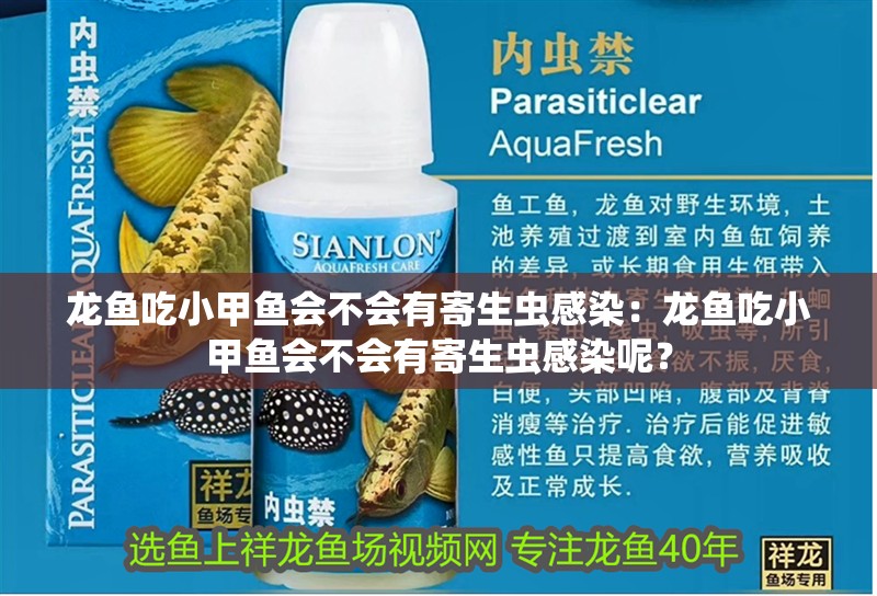 龍魚吃小甲魚會不會有寄生蟲感染：龍魚吃小甲魚會不會有寄生蟲感染呢？