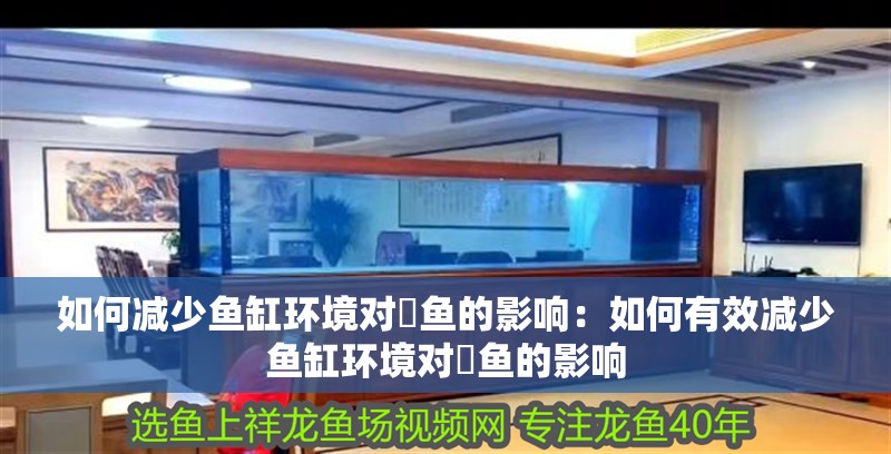 如何減少魚(yú)缸環(huán)境對(duì)魟魚(yú)的影響：如何有效減少魚(yú)缸環(huán)境對(duì)魟魚(yú)的影響