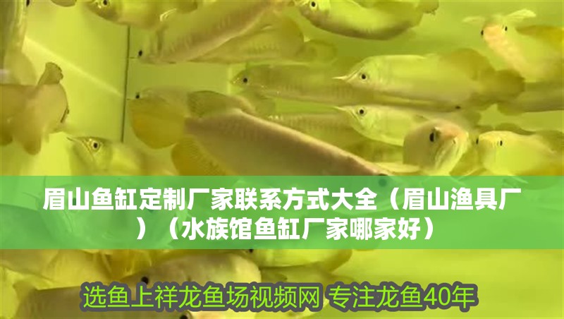 <strong><mark>眉山</mark></strong>魚缸定制廠家聯系方式大全（<strong><mark>眉山</mark></strong>漁具廠）（水族館魚缸廠家哪家好）