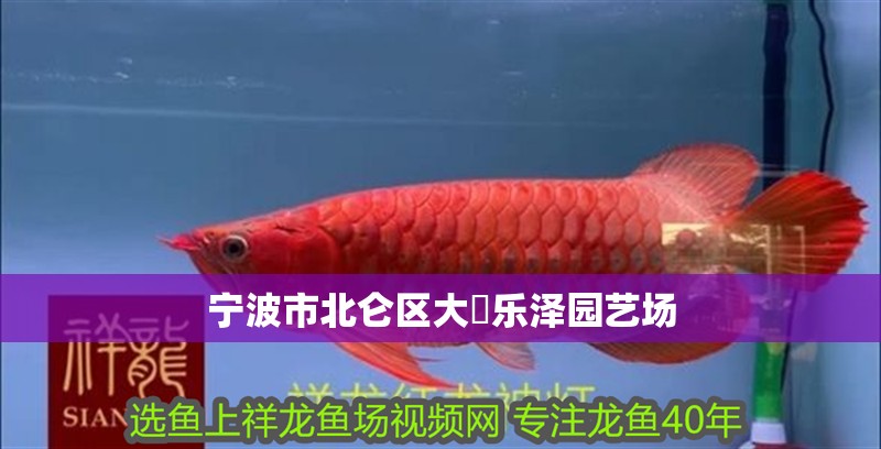 寧波市北侖區大碶樂澤園藝場