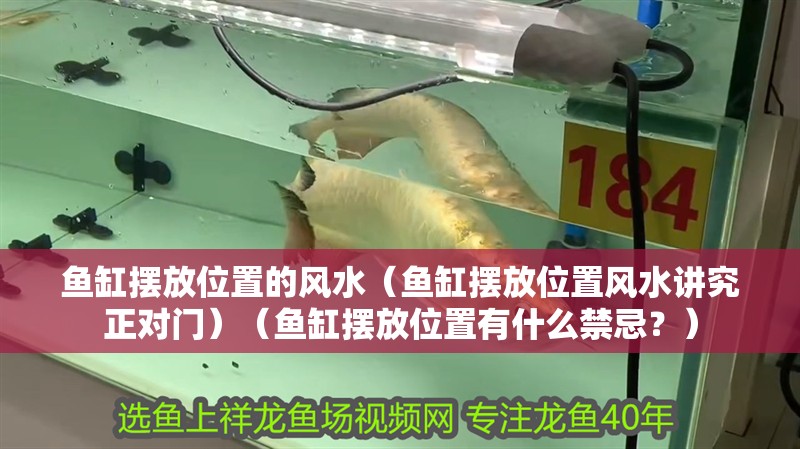 魚缸擺放位置的風水（魚缸擺放位置風水講究正對門）（魚缸擺放位置有什么禁忌？）