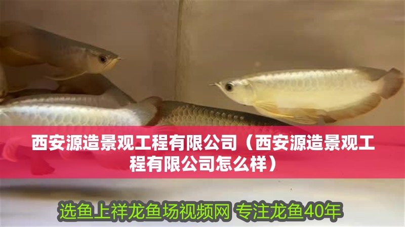 西安源造景觀工程有限公司（西安源造景觀工程有限公司怎么樣）