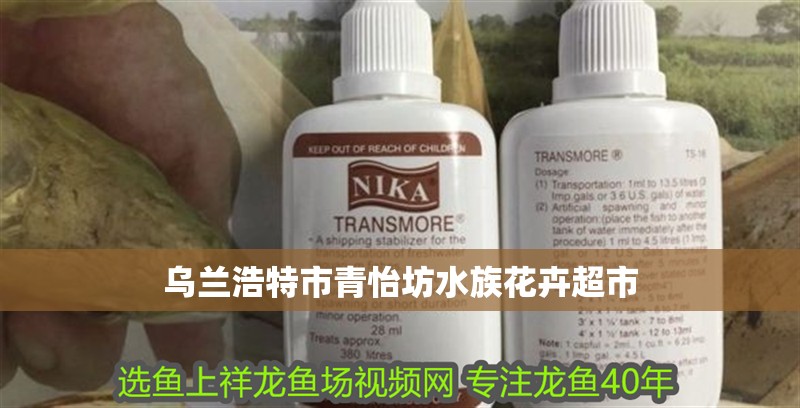 烏蘭浩特市青怡坊水族花卉超市
