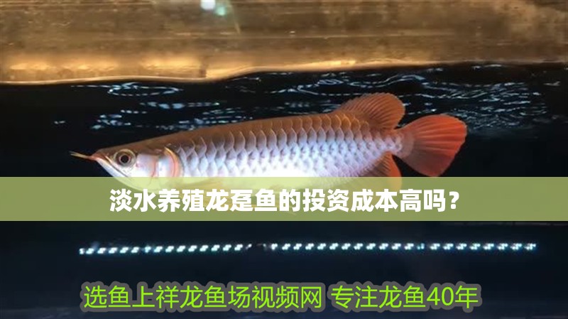 淡水養(yǎng)殖龍躉魚的投資成本高嗎？