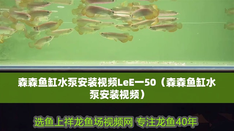 森森魚缸水泵安裝視頻LeE一50（森森魚缸水泵安裝視頻）
