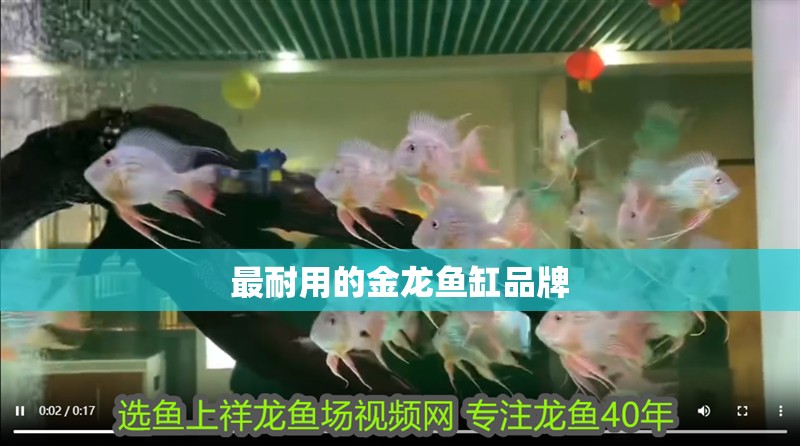 最耐用的金龍魚缸品牌