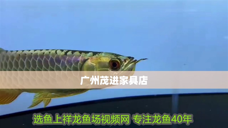 廣州茂進(jìn)家具店