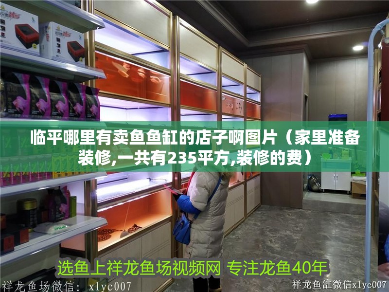 臨平哪里有賣魚魚缸的店子啊圖片（家里準備裝修,一共有235平方,裝修的費）