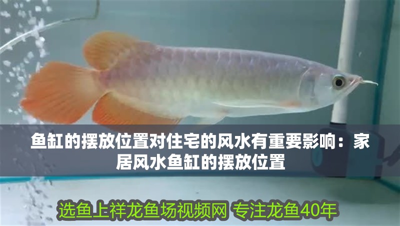 魚缸的擺放位置對(duì)住宅的風(fēng)水有重要影響：家居風(fēng)水魚缸的擺放位置