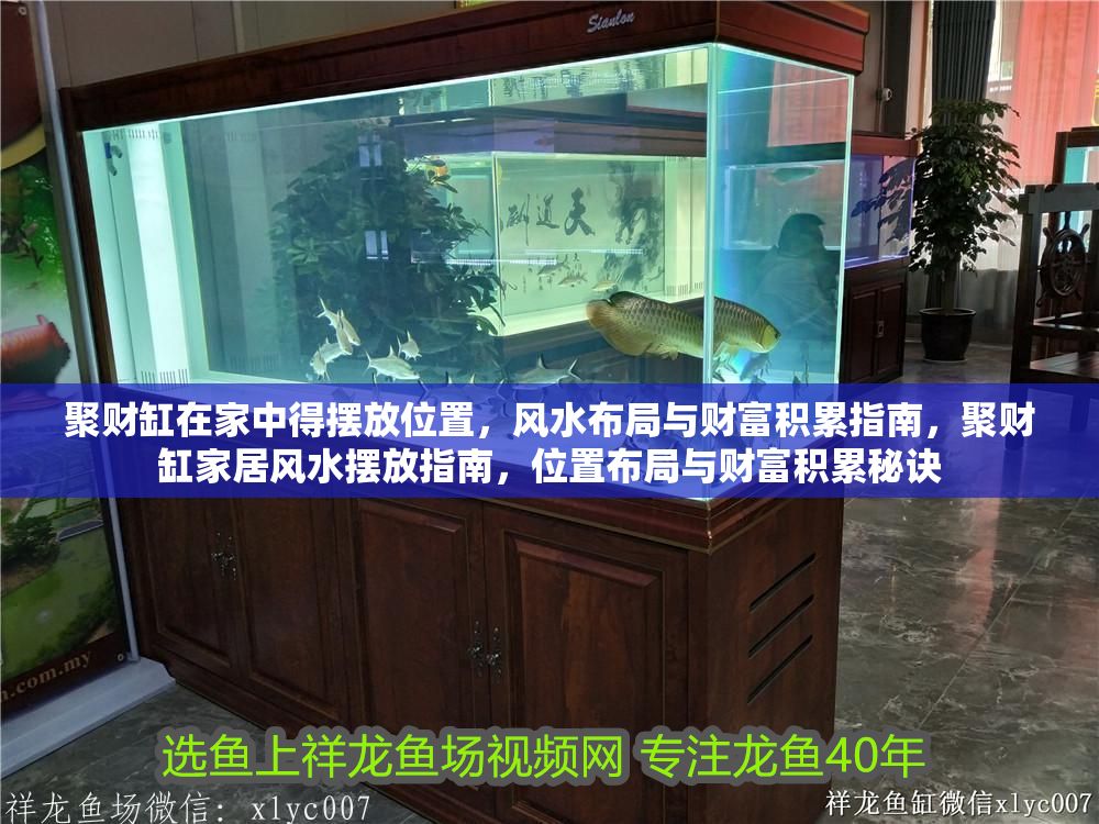聚財(cái)缸在家中得擺放位置，風(fēng)水布局與財(cái)富積累指南，聚財(cái)缸家居風(fēng)水?dāng)[放指南，位置布局與財(cái)富積累秘訣