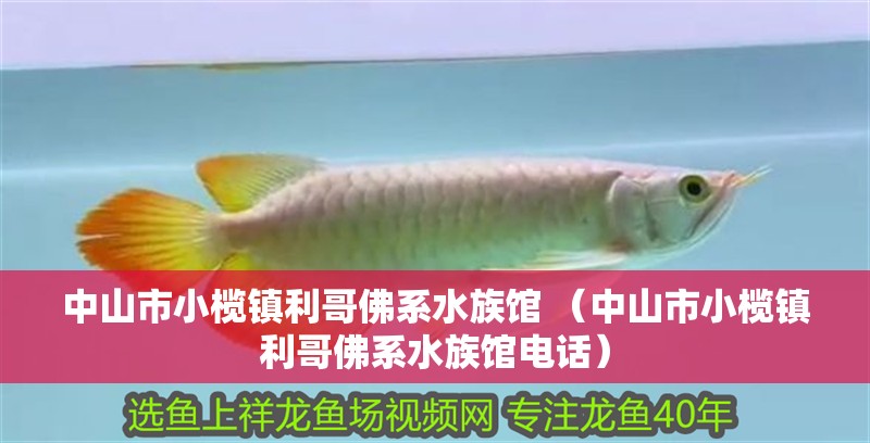 魚缸過濾器選購指南:自制魚缸過濾器魚缸上置過濾器對于養魚愛好者的必備知識 中山市小欖鎮利哥佛系水族館 (中山市小欖鎮利哥佛系水族館電話) 全國水族館企業名錄 中山市小欖鎮利哥佛系水族館 (中山市小欖鎮利哥佛系水族館電話) 中山市小欖鎮利哥佛系水族館 (中山市小欖鎮利哥佛系水族館電話) 全國水族館企業名錄