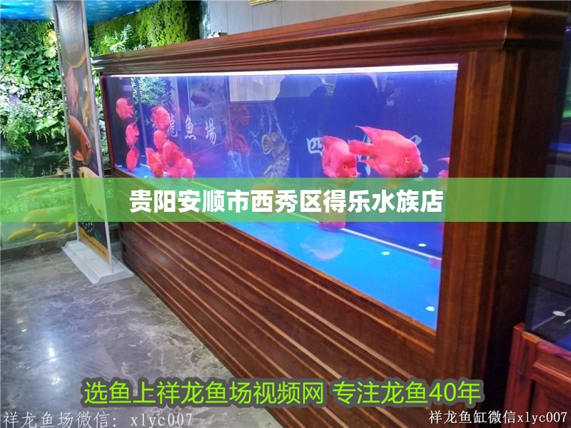 貴陽安順市西秀區得樂水族店