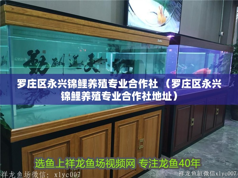 羅莊區永興錦鯉養殖專業合作社 （羅莊區永興錦鯉養殖專業合作社地址）