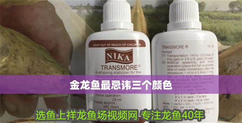 金龍魚最忌諱三個(gè)顏色