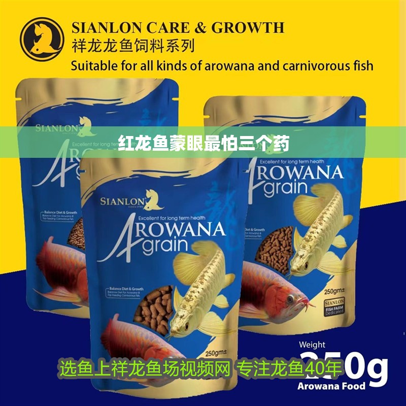 詳細閱讀:紅龍魚蒙眼最怕三個藥 紅龍魚蒙眼最怕三個藥