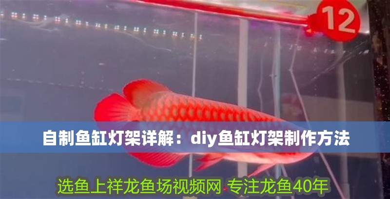 自制魚缸燈架詳解：diy魚缸燈架制作方法